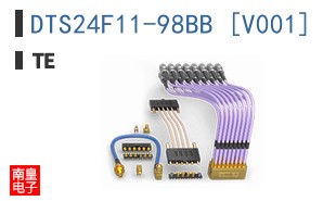 DTS24F11-98BB [V001]